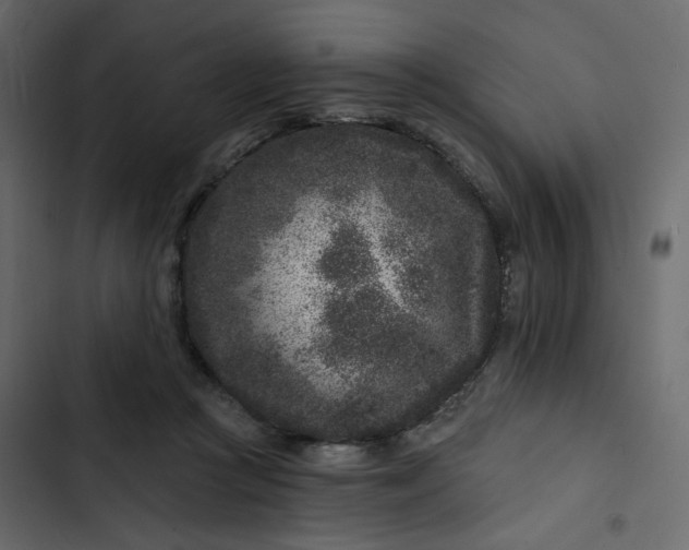 X0000102830361200809021319