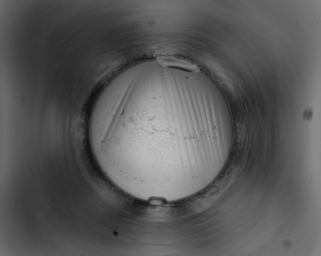 X0000102830362200809021319