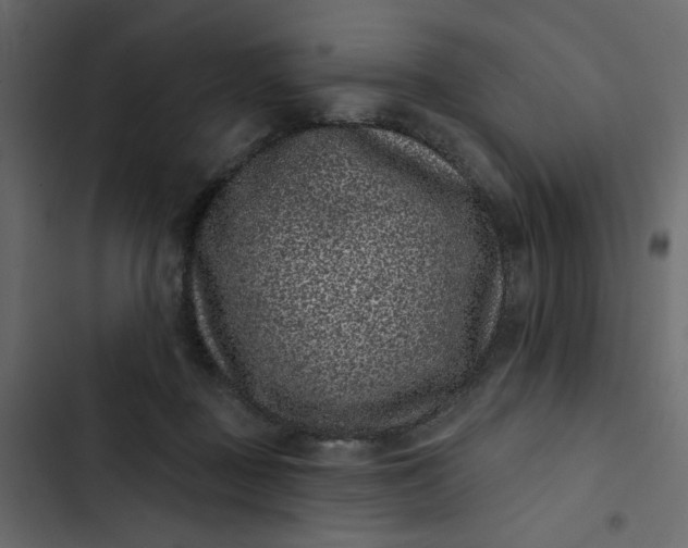 X0000102830363200809021319