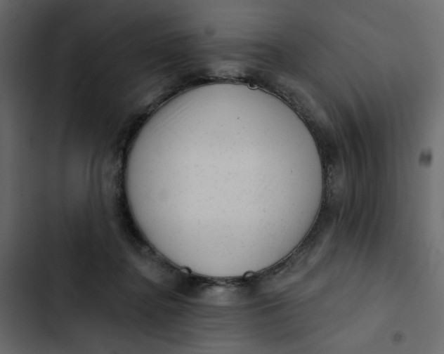 X0000102830364200809021319