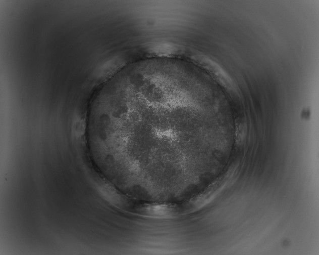 X0000102830365200809021319