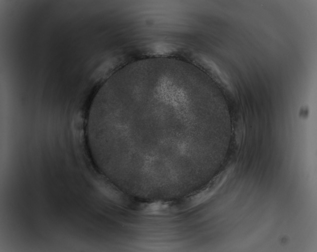 X0000102830366200809021319