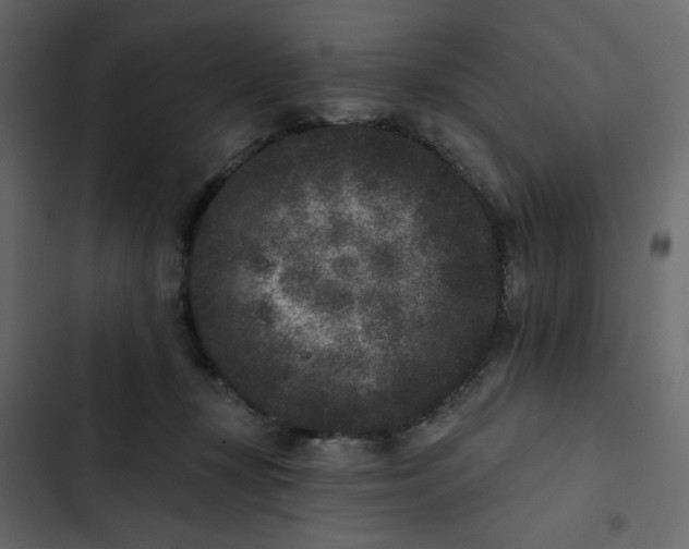 X0000102830367200809021319