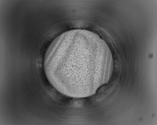 X0000102830368200809021319