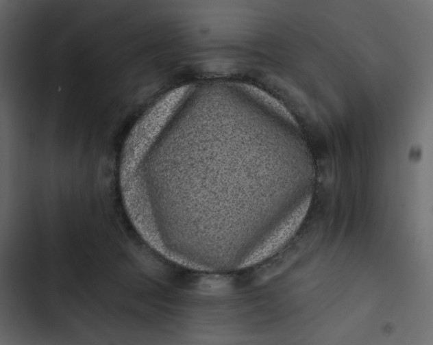 X0000102830369200809021319