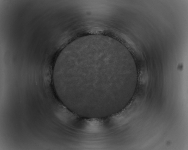 X0000102830370200809021319