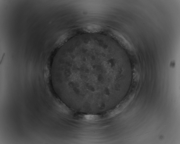 X0000102830371200809021319