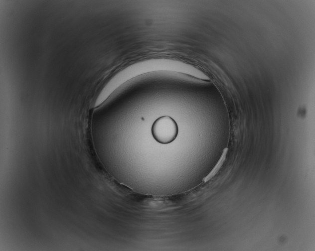 X0000102830372200809021319