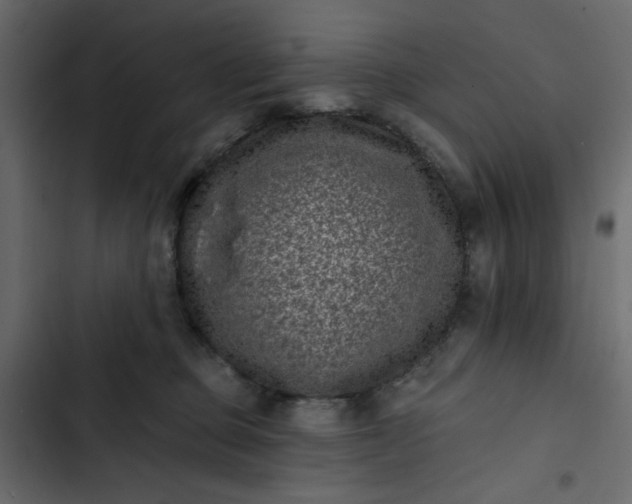 X0000102830373200809021319