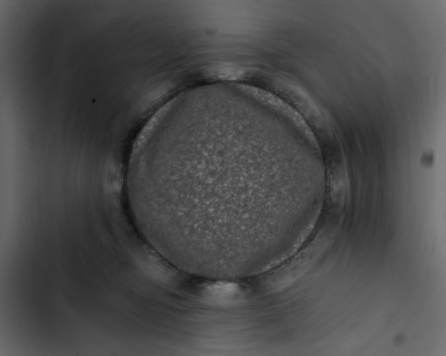 X0000102830374200809021319