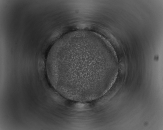 X0000102830375200809021319