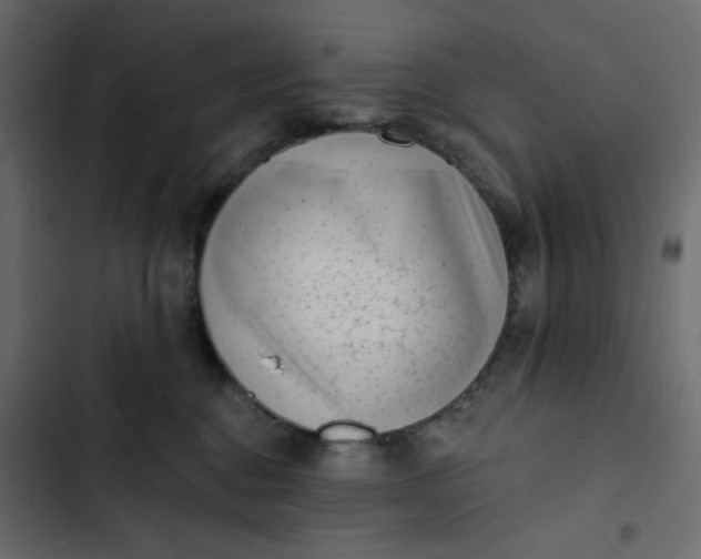 X0000102830376200809021319