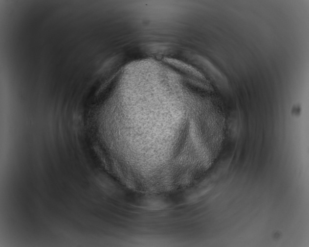 X0000102830377200809021319