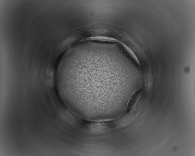 X0000102830378200809021319