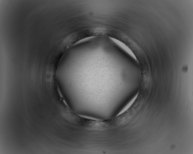 X0000102830379200809021319