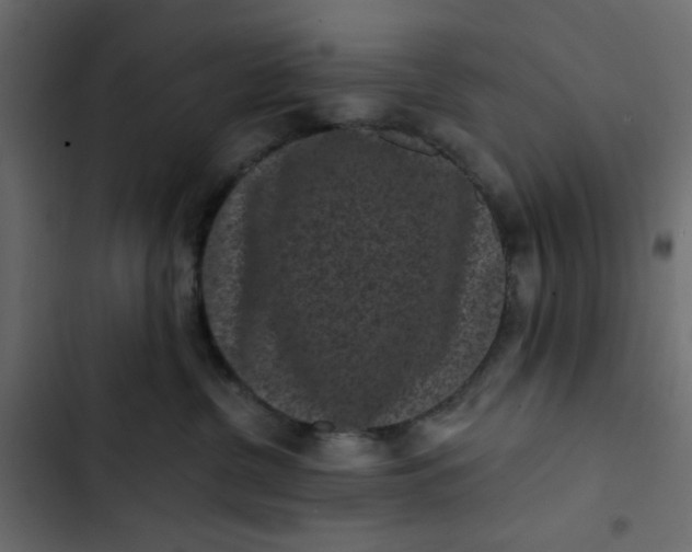 X0000102830380200809021319