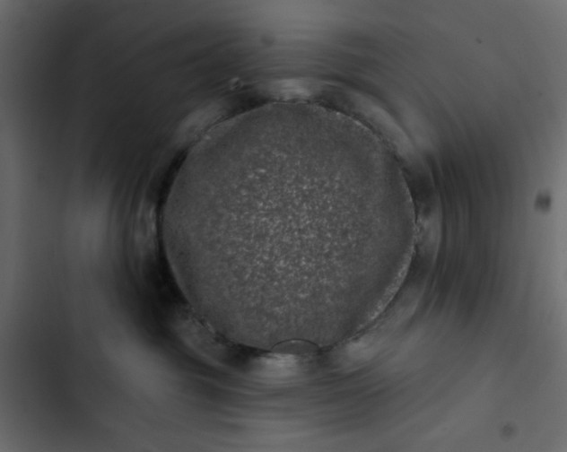 X0000102830381200809021319