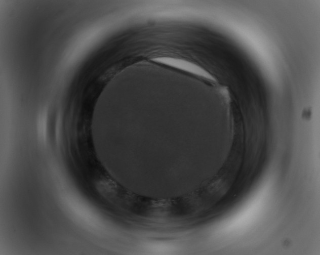 X0000102830382200809021319