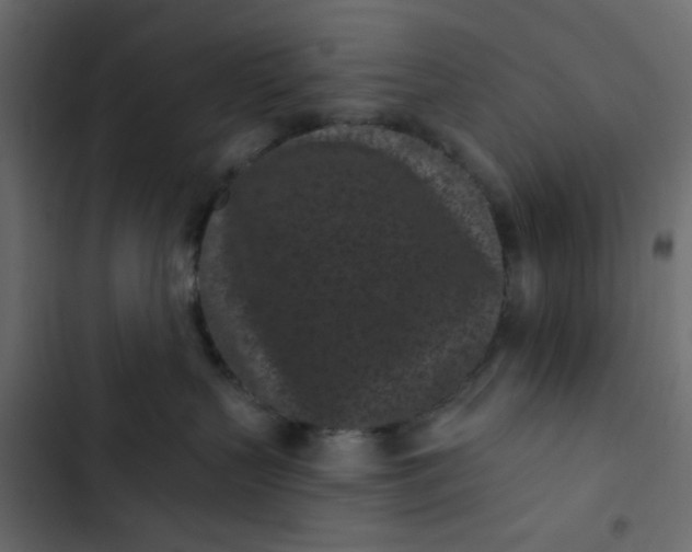 X0000102830383200809021319