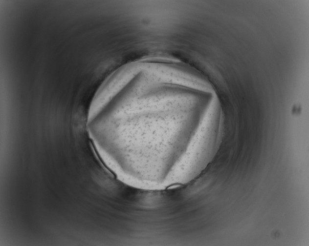 X0000102830384200809021319