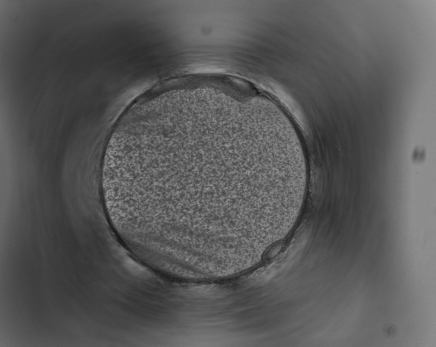 X0000102830385200809021318