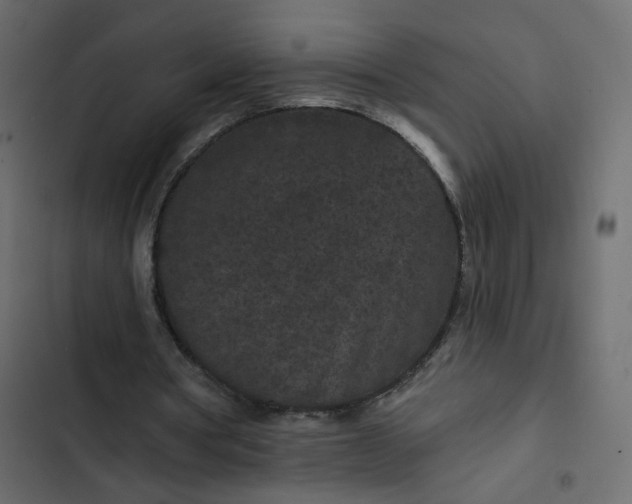 X0000102830386200809021318