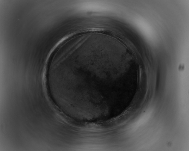 X0000102830387200809021318