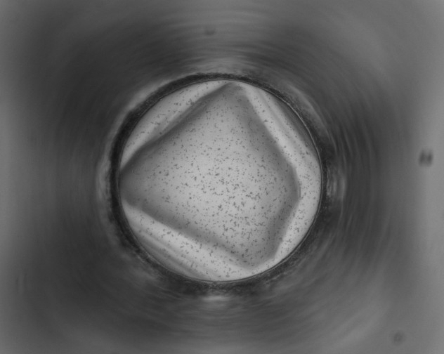 X0000102830388200809021318