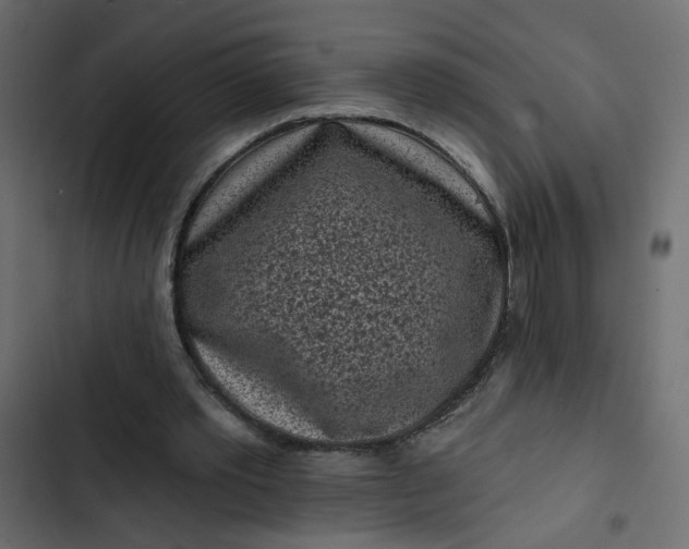 X0000102830389200809021318