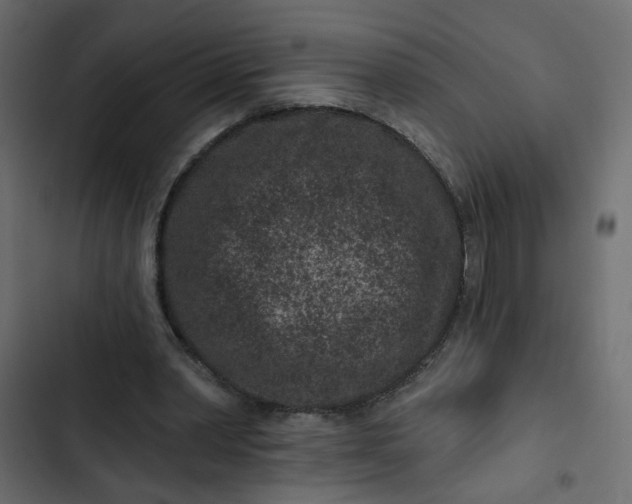 X0000102830390200809021318