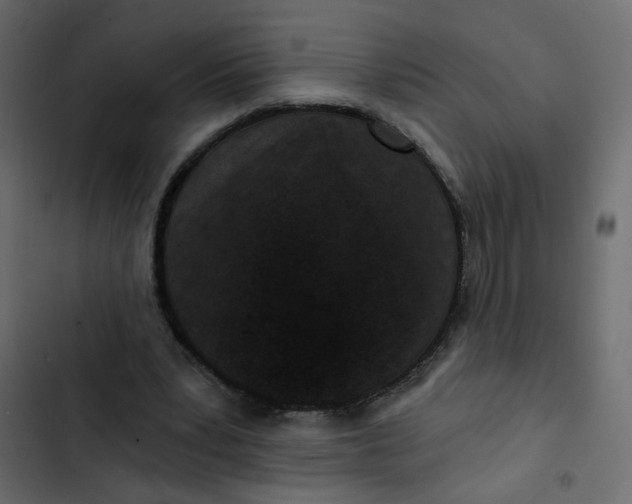 X0000102830391200809021318