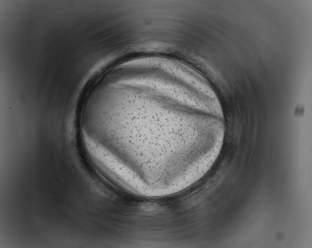 X0000102830392200809021318