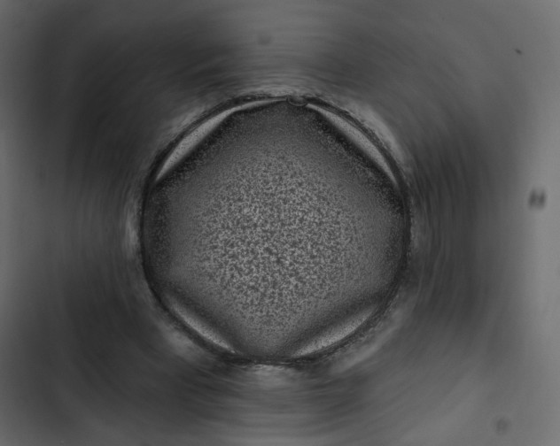 X0000102830393200809021318