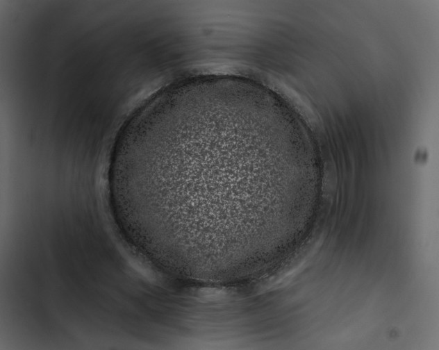 X0000102830394200809021318