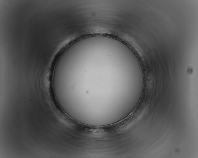 X0000102830395200809021318