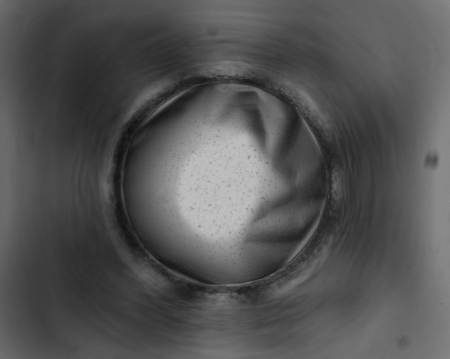 X0000102830396200809021318