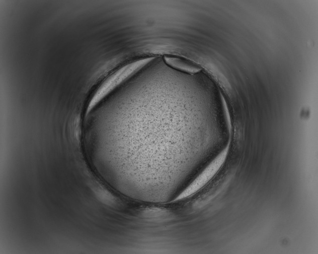 X0000102830397200809021318