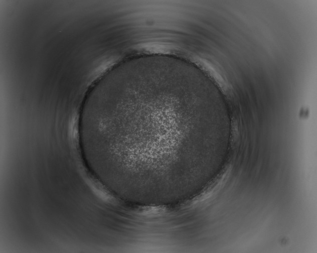 X0000102830398200809021318