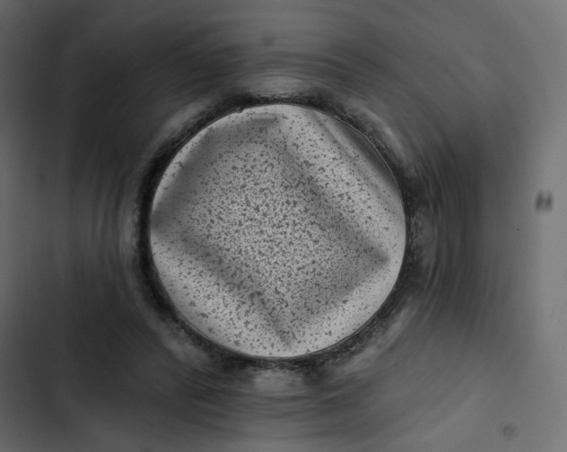 X0000102830400200809021318