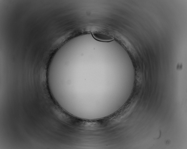 X0000102830401200809021318