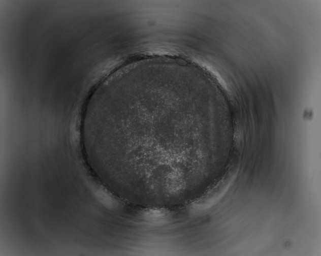 X0000102830402200809021318