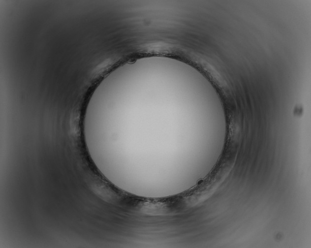 X0000102830403200809021318