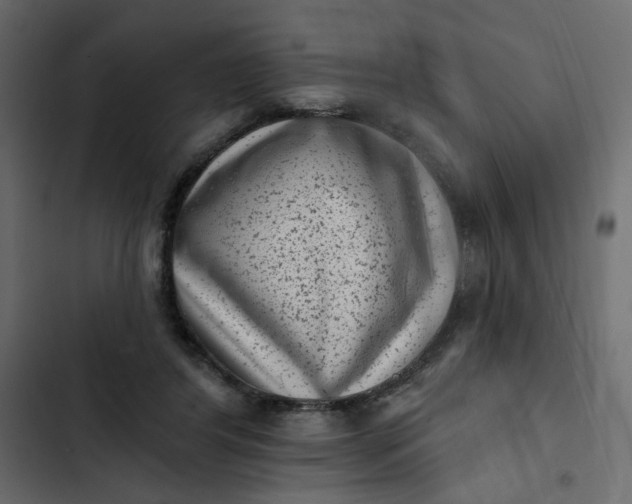 X0000102830404200809021318