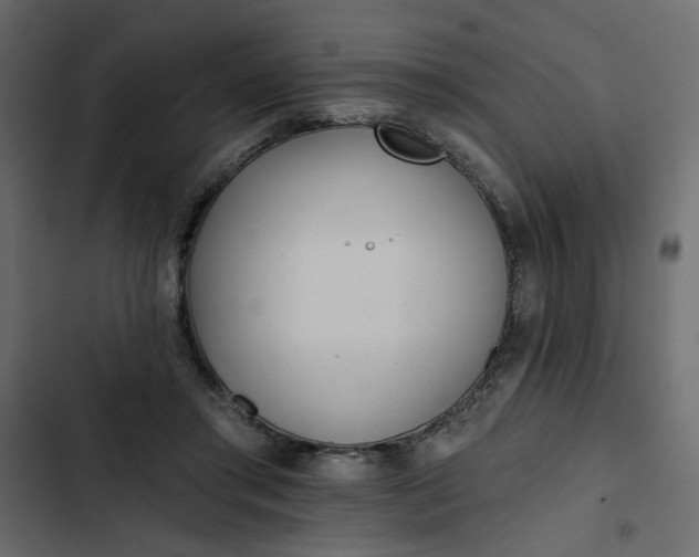 X0000102830405200809021318