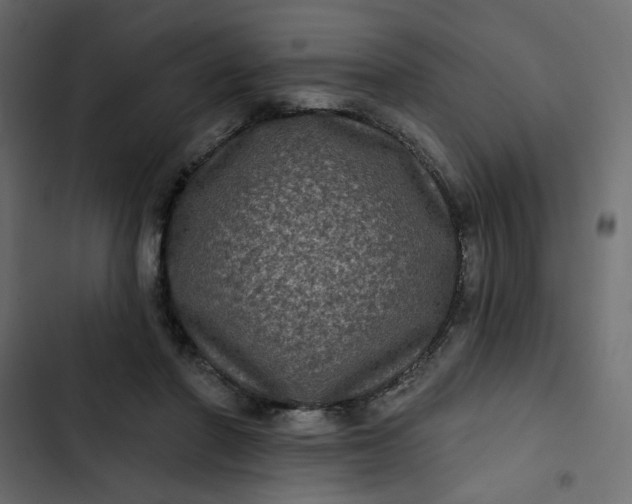 X0000102830406200809021318