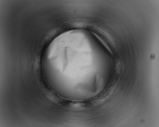 X0000102830407200809021318