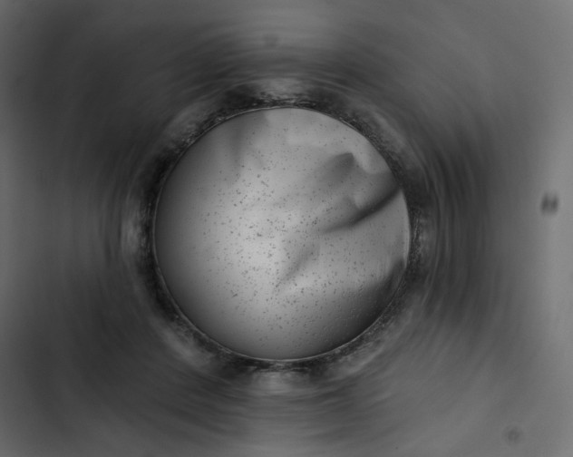 X0000102830408200809021318