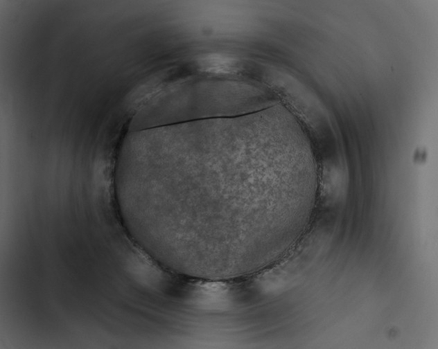 X0000102830409200809021318