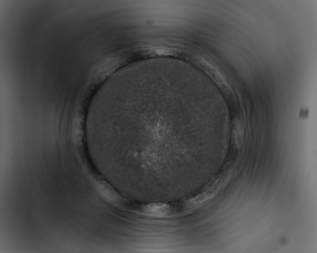 X0000102830410200809021318