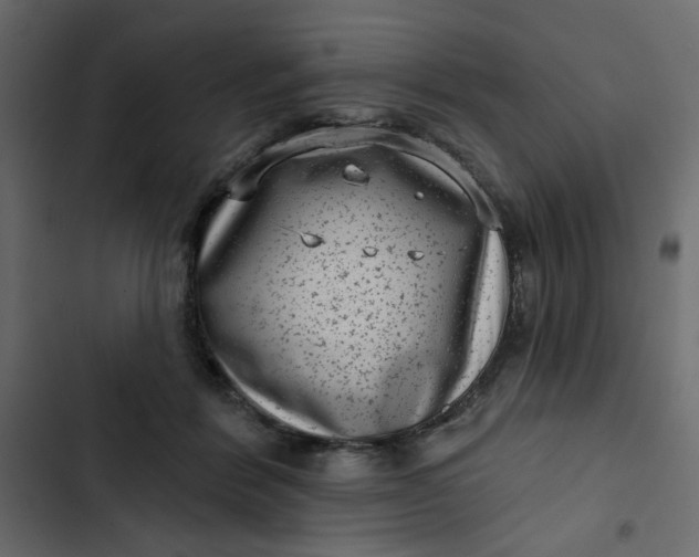 X0000102830412200809021318